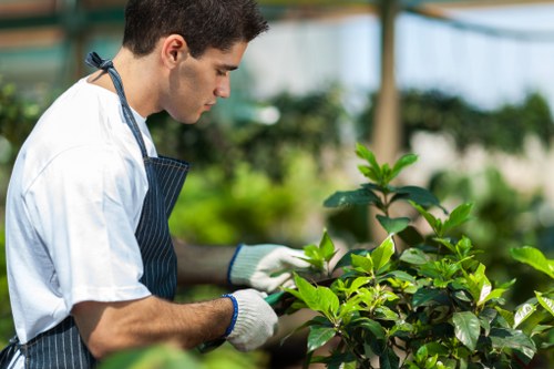 Professional tree surgery service managing a complaint carefully